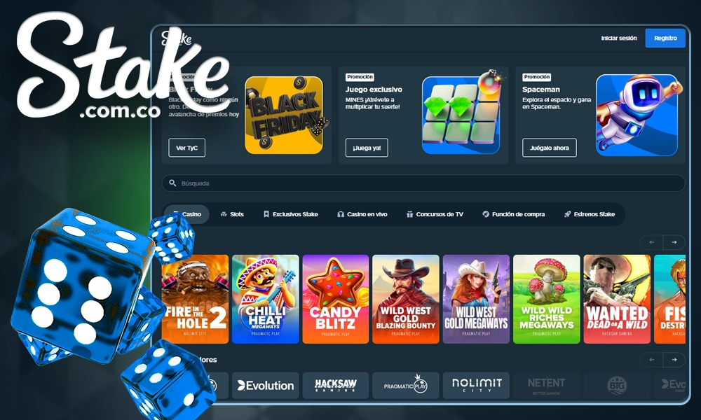 Stake Casino